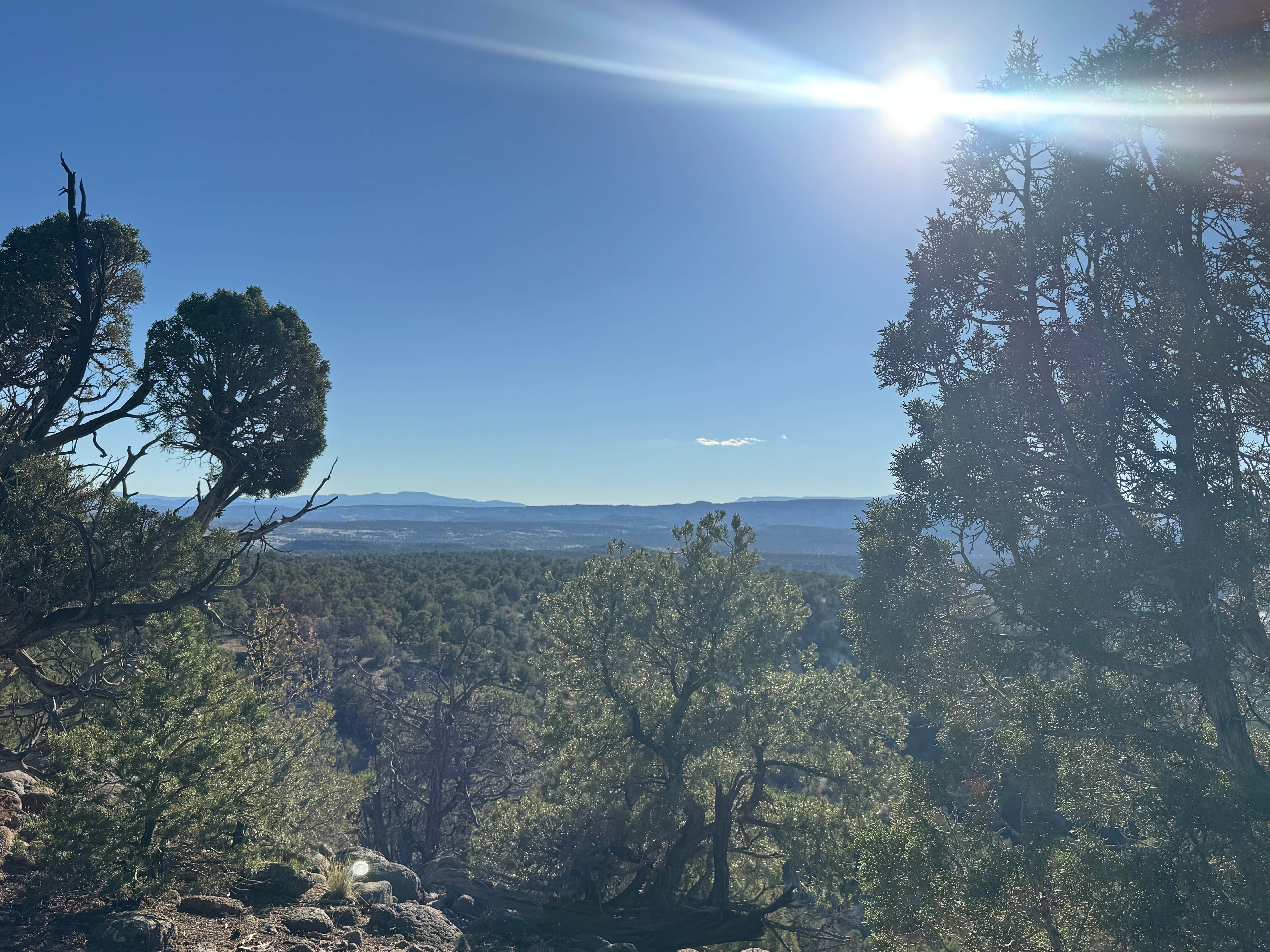 Camper-submitted photo at Dispersed Campsite near Boulder, Utah near Escalante, UT