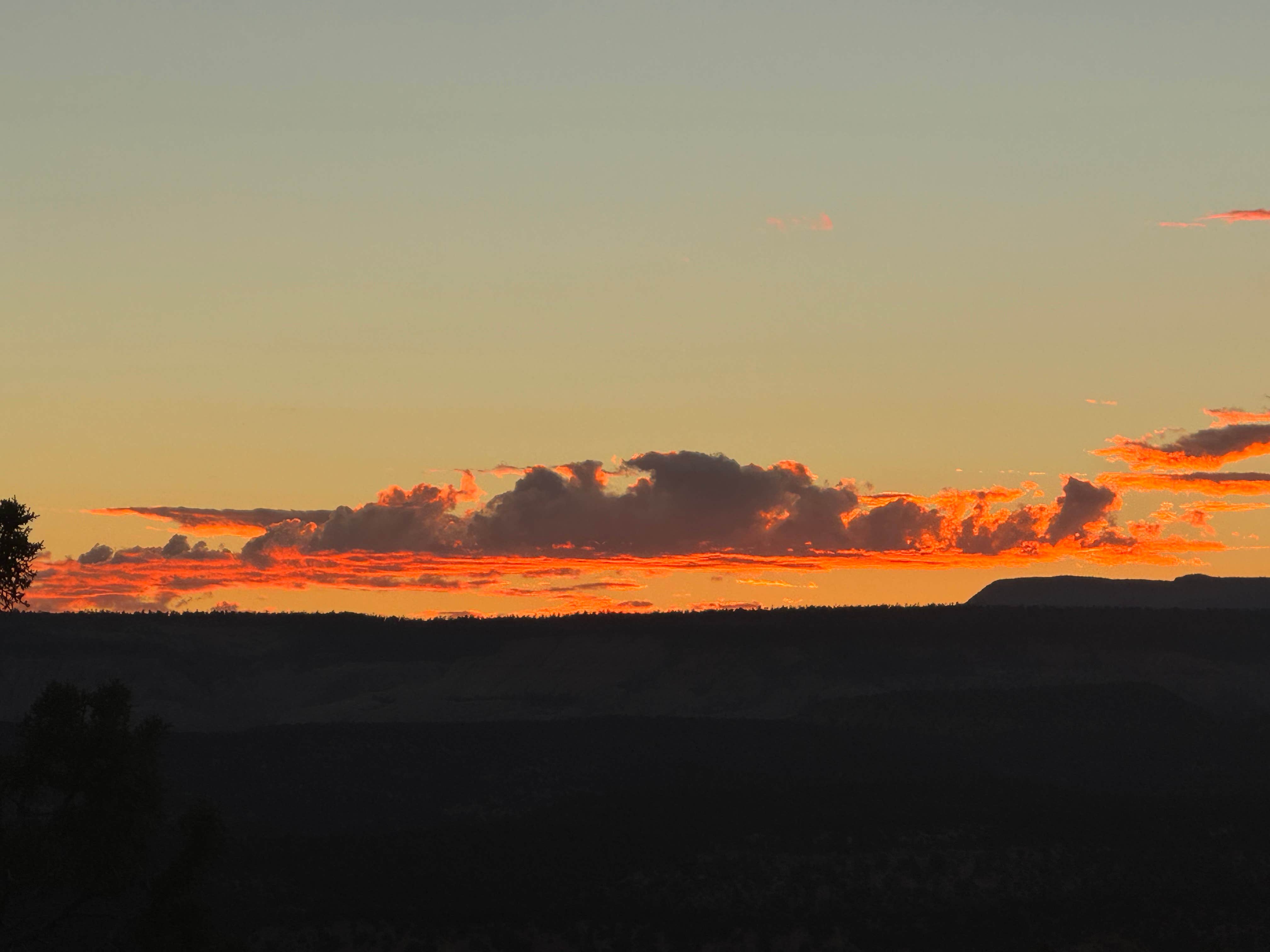 Elizabeth C.'s photo of a dispersed camping area at Dispersed Campsite near Boulder, Utah near Escalante, UT