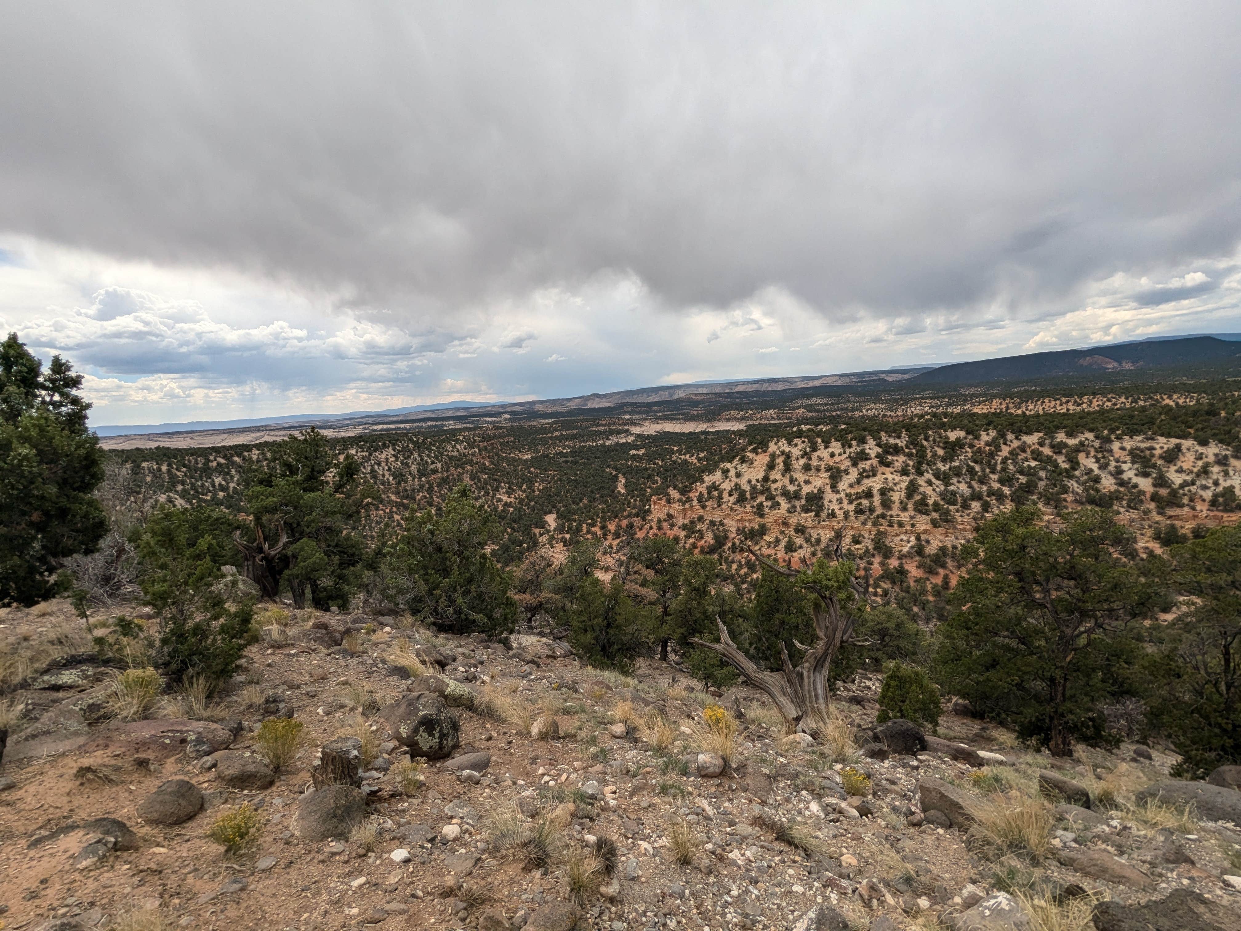 Camper-submitted photo at Dispersed Campsite near Boulder, Utah near Boulder, UT