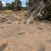 Review photo of Dispersed Campsite near Boulder, Utah by DL M., September 9, 2024