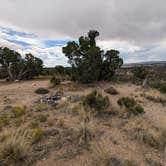 Review photo of Dispersed Campsite near Boulder, Utah by DL M., September 9, 2024