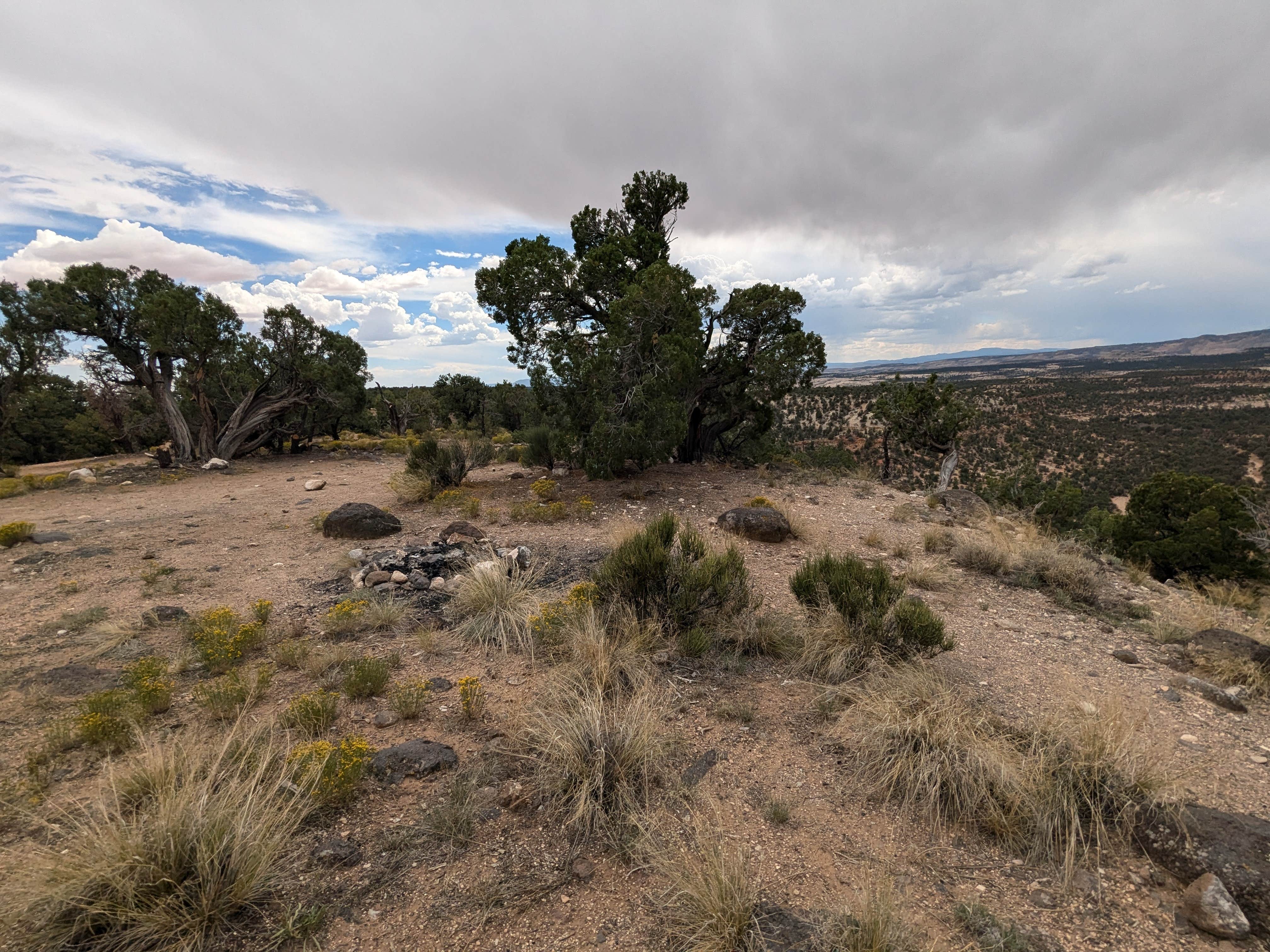 Camper submitted image from Dispersed Campsite near Boulder, Utah - 2