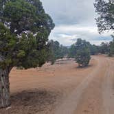 Review photo of Dispersed Campsite near Boulder, Utah by Monica R., May 22, 2026