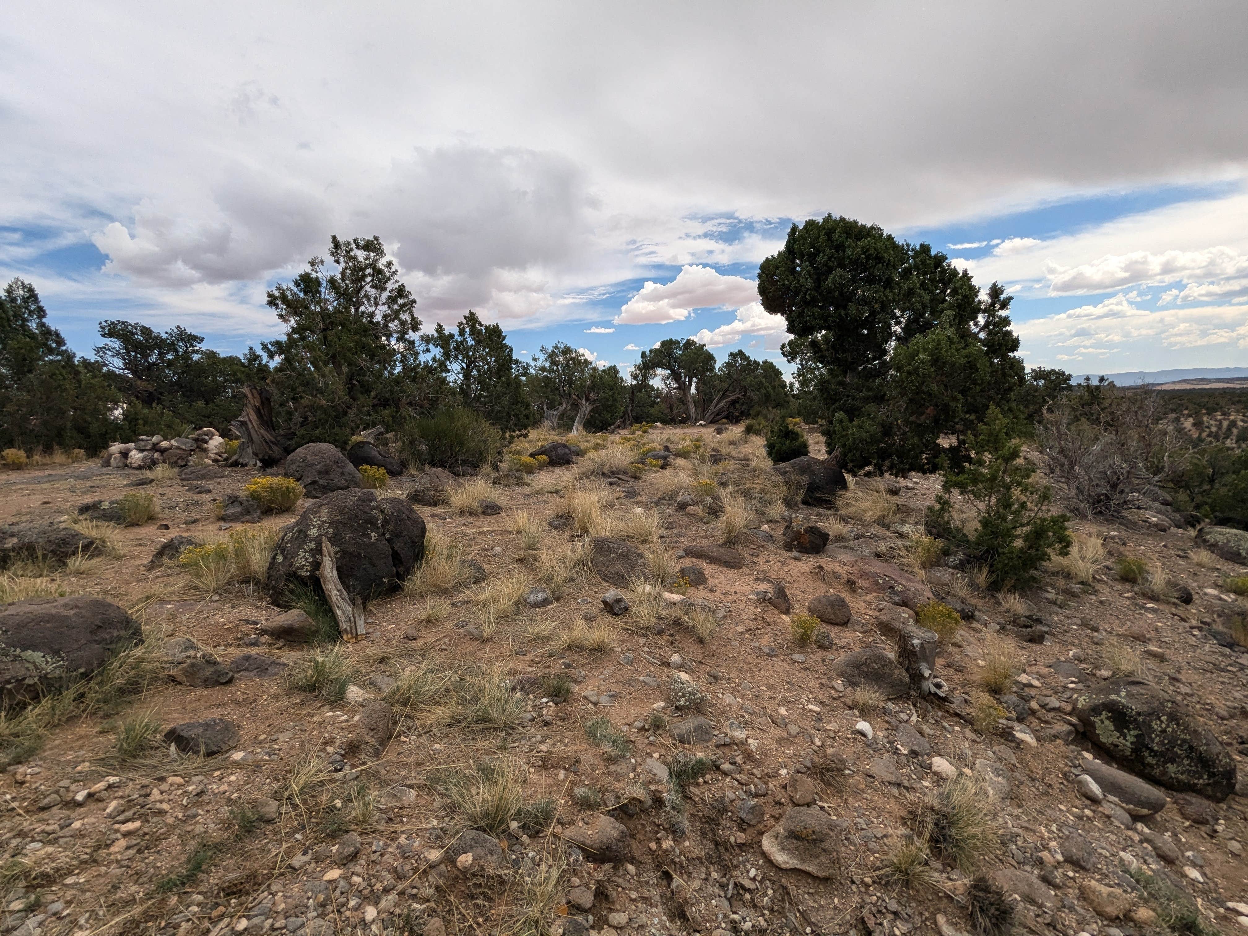 Camper-submitted photo at Dispersed Campsite near Boulder, Utah near Boulder, UT