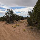 Review photo of near Boulder, Utah by DL M., September 9, 2024