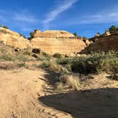 Review photo of Dispersed Campsite Near Brown Springs by Roger W., June 14, 2024