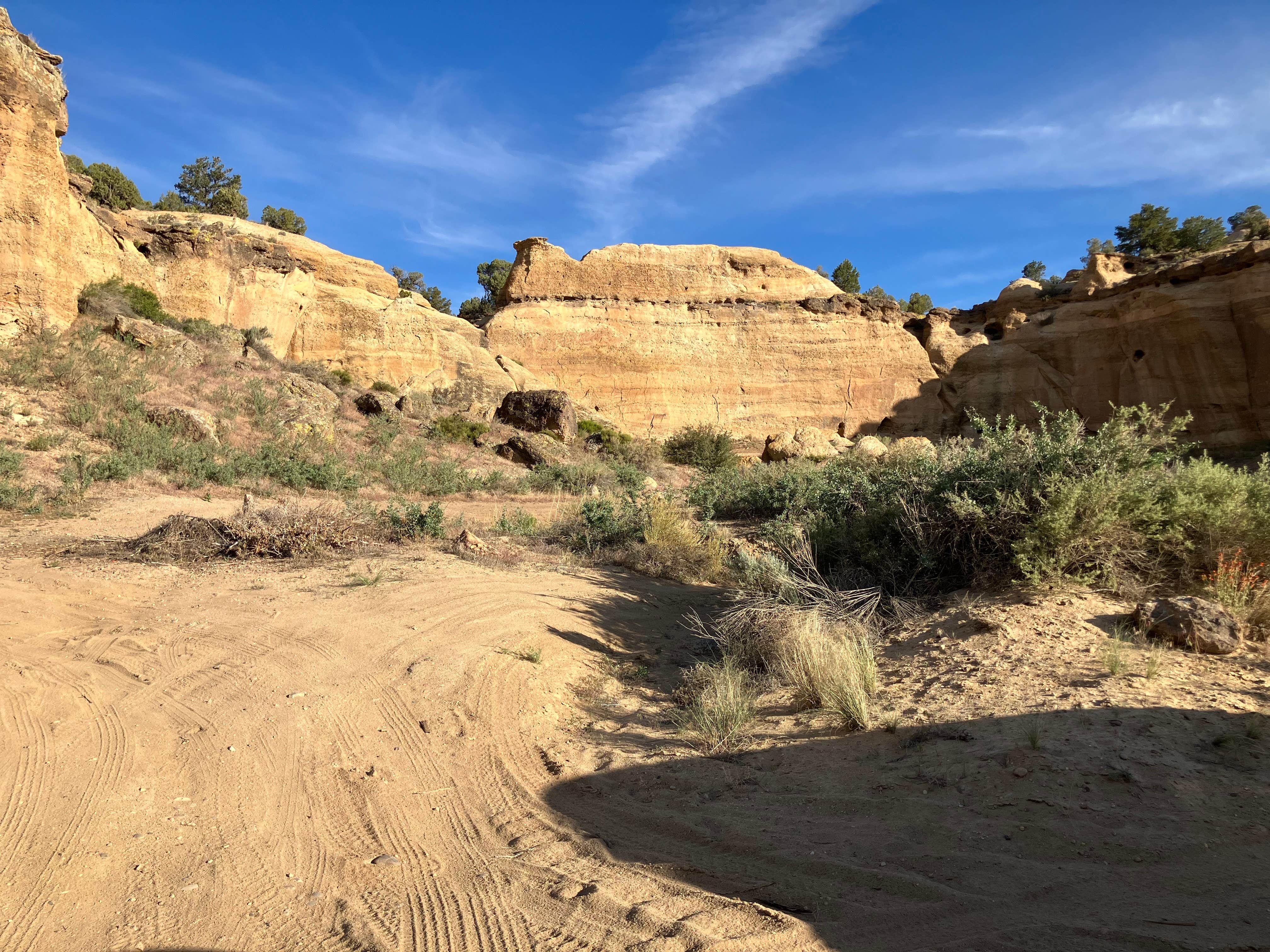 Camper submitted image from Dispersed Campsite Near Brown Springs - 2