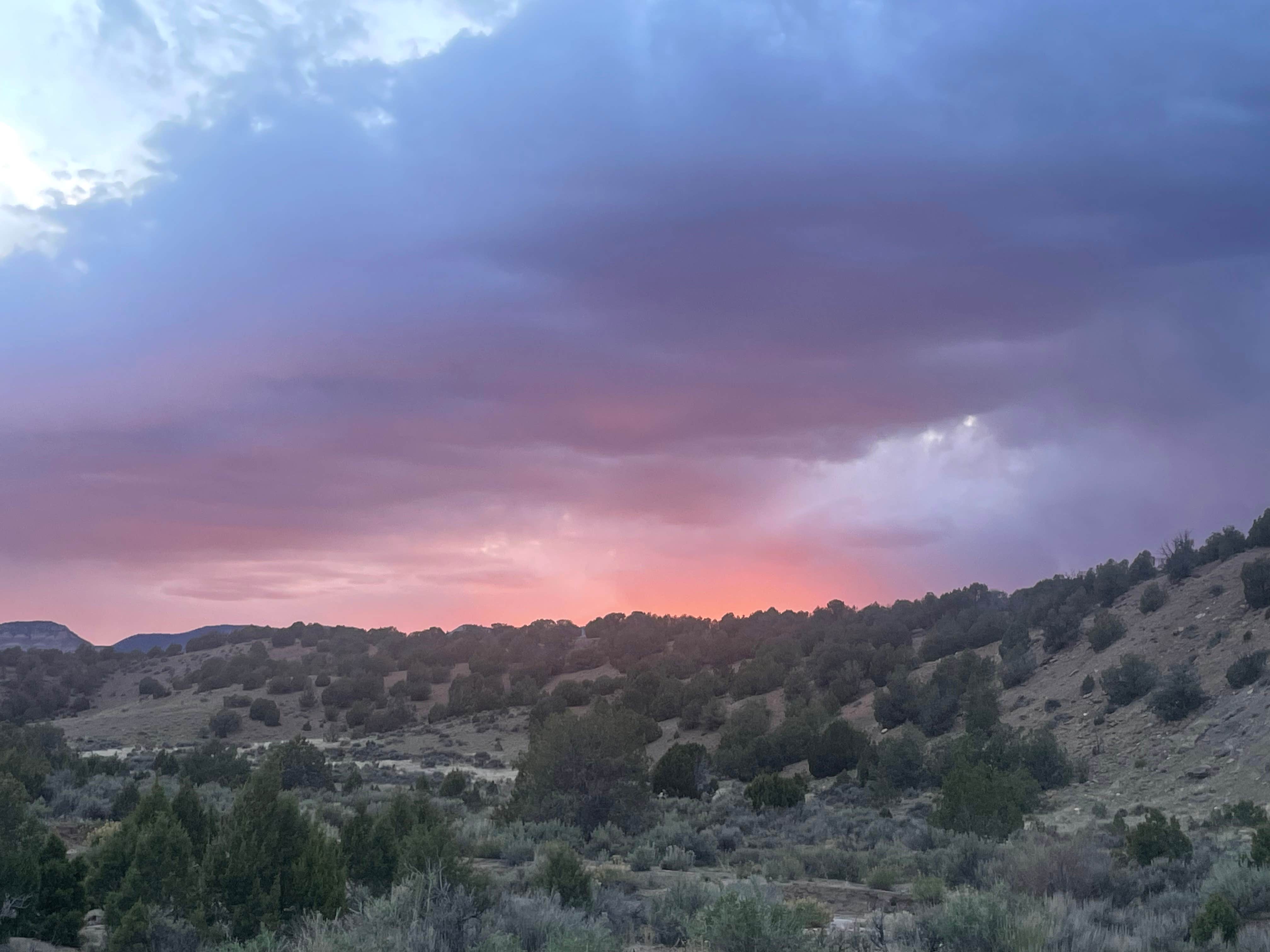 Ella L.'s photo of a dispersed camping area at Near De Buque Dispersed near Fruita, CO