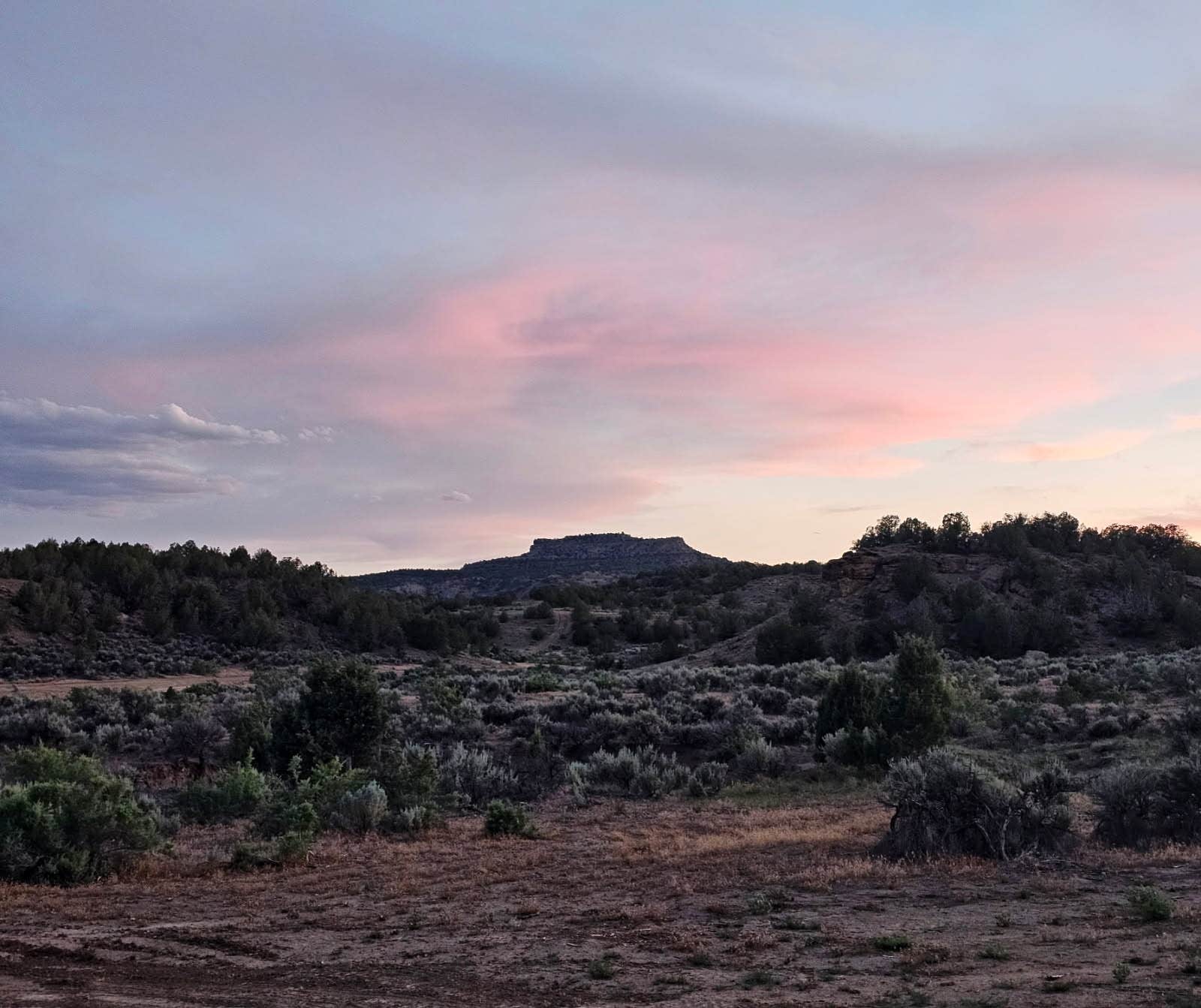 Near De Buque Dispersed