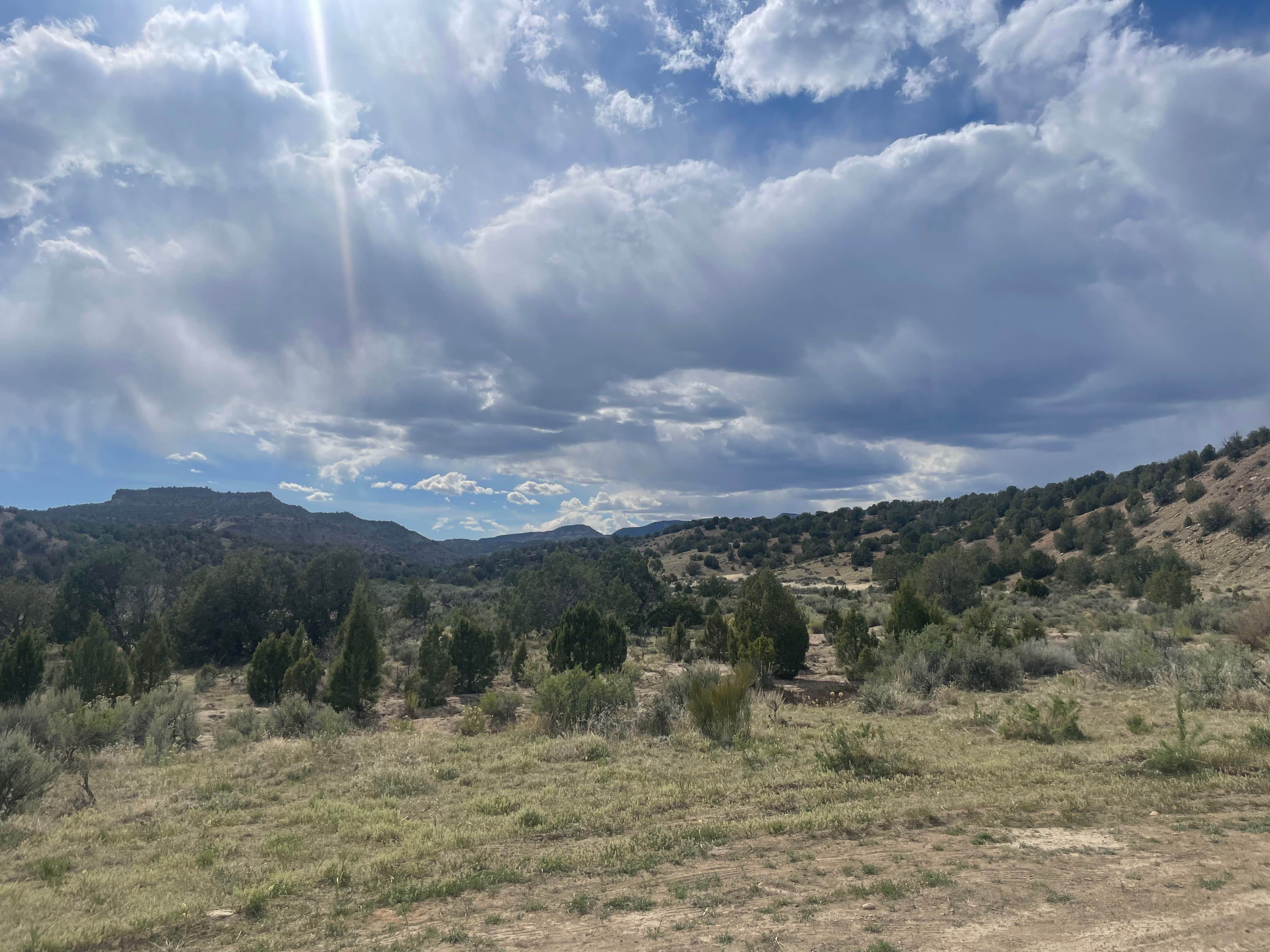Camper-submitted photo at Near De Buque Dispersed near De Beque, CO