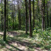 Review photo of Dispersed Near Devils Den by Ryan L., June 26, 2025