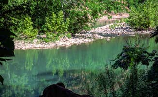 Mack Daddy Van L.'s photo of a dispersed camping area at Dispersed Near Devils Den near Greenland, AR