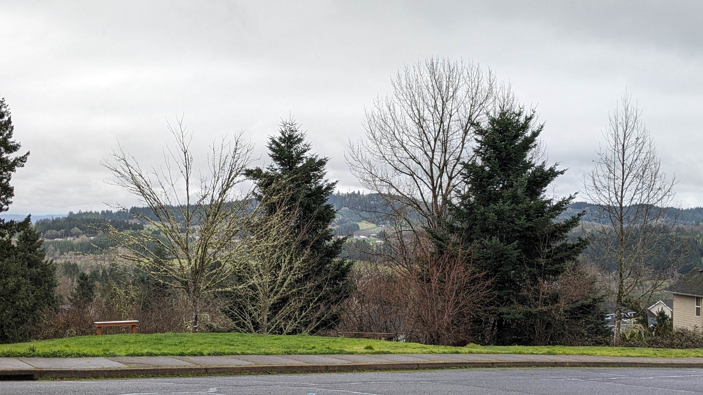 Camper-submitted photo at Near Fawn Creek Campground (BLM) near Florence, OR