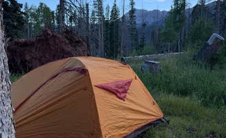 Haley L.'s photo at near Kennebec near San Juan National Forest