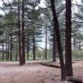 Review photo of Dispersed Camping Near Owen's River Road by Robert  S., June 19, 2024