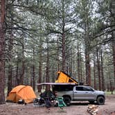 Review photo of Dispersed Camping Near Owen's River Road by Robert  S., June 19, 2024