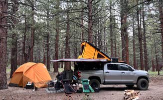 Robert  S.'s photo at Dispersed Camping Near Owen's River Road near Tahoe National Forest