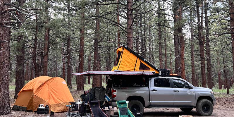 Camper submitted image from Dispersed Camping Near Owen's River Road