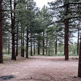 Review photo of Dispersed Camping Near Owen's River Road by Robert  S., June 19, 2024