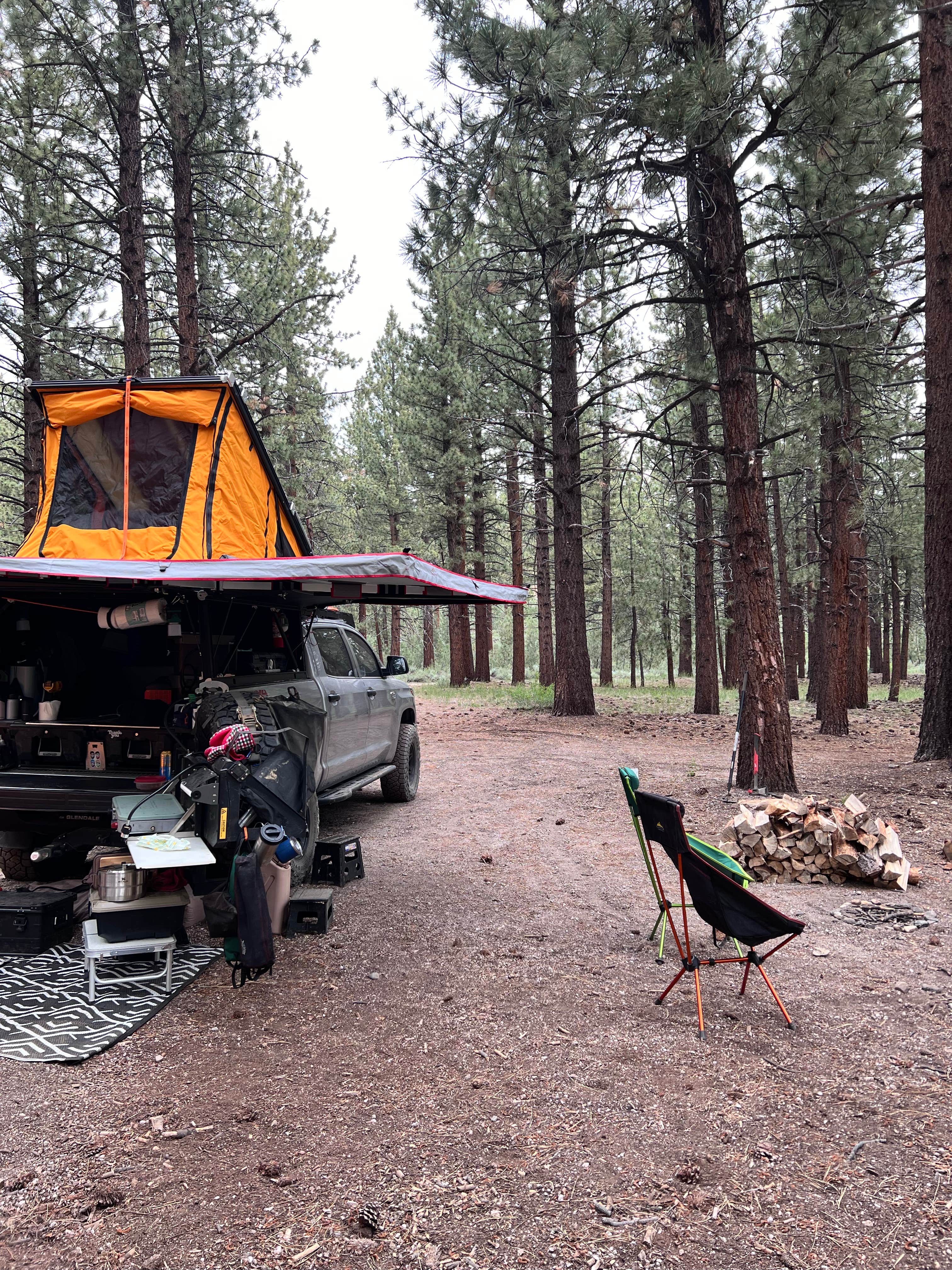 Camper submitted image from Dispersed Camping Near Owen's River Road - 4