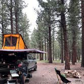 Review photo of Dispersed Camping Near Owen's River Road by Robert  S., June 19, 2024