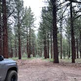 Review photo of Dispersed Camping Near Owen's River Road by Robert  S., June 19, 2024