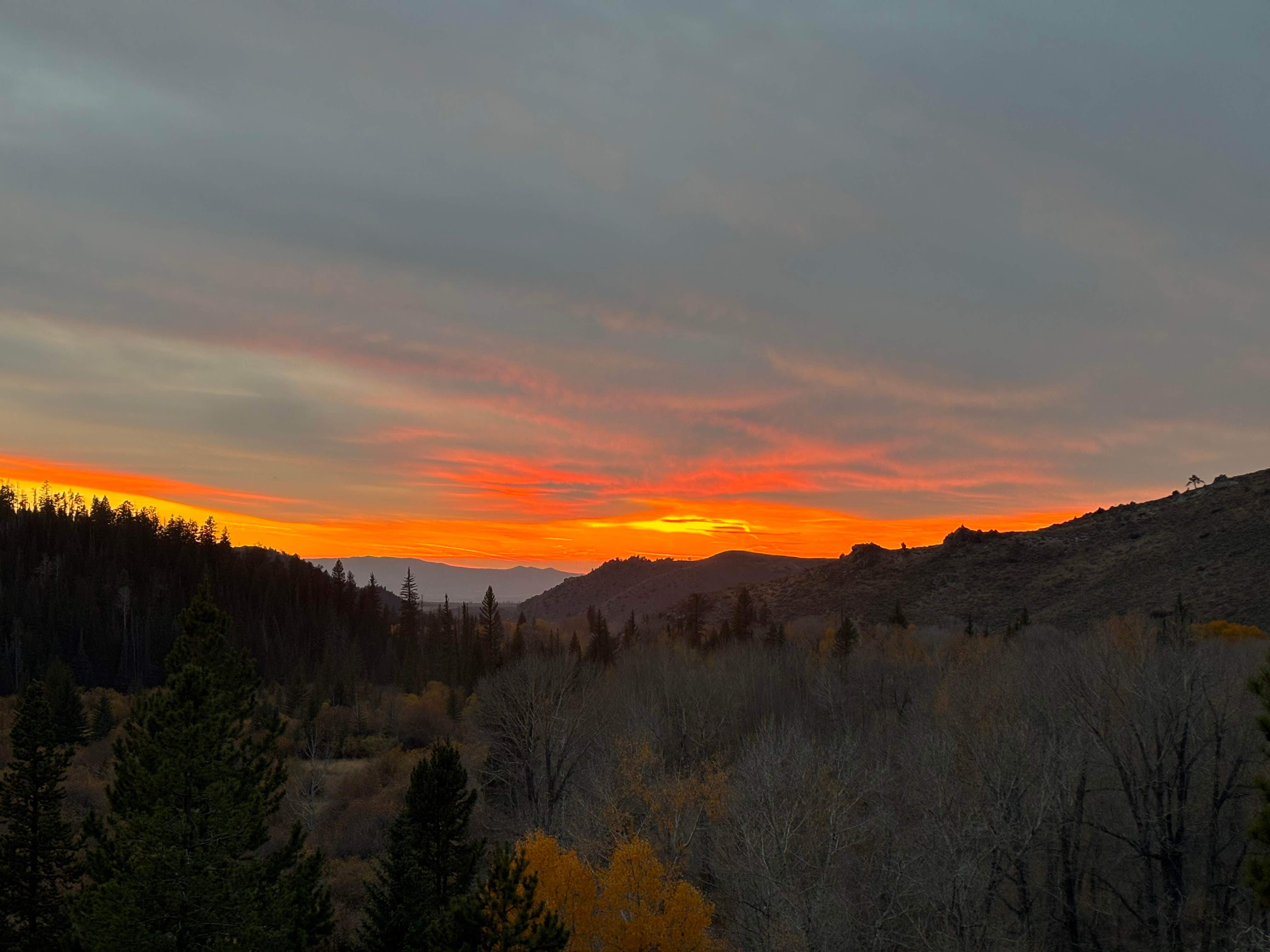 Jon D.'s photo of a dispersed camping area at Near Ryan Park Dispersed near Elk Mountain, WY