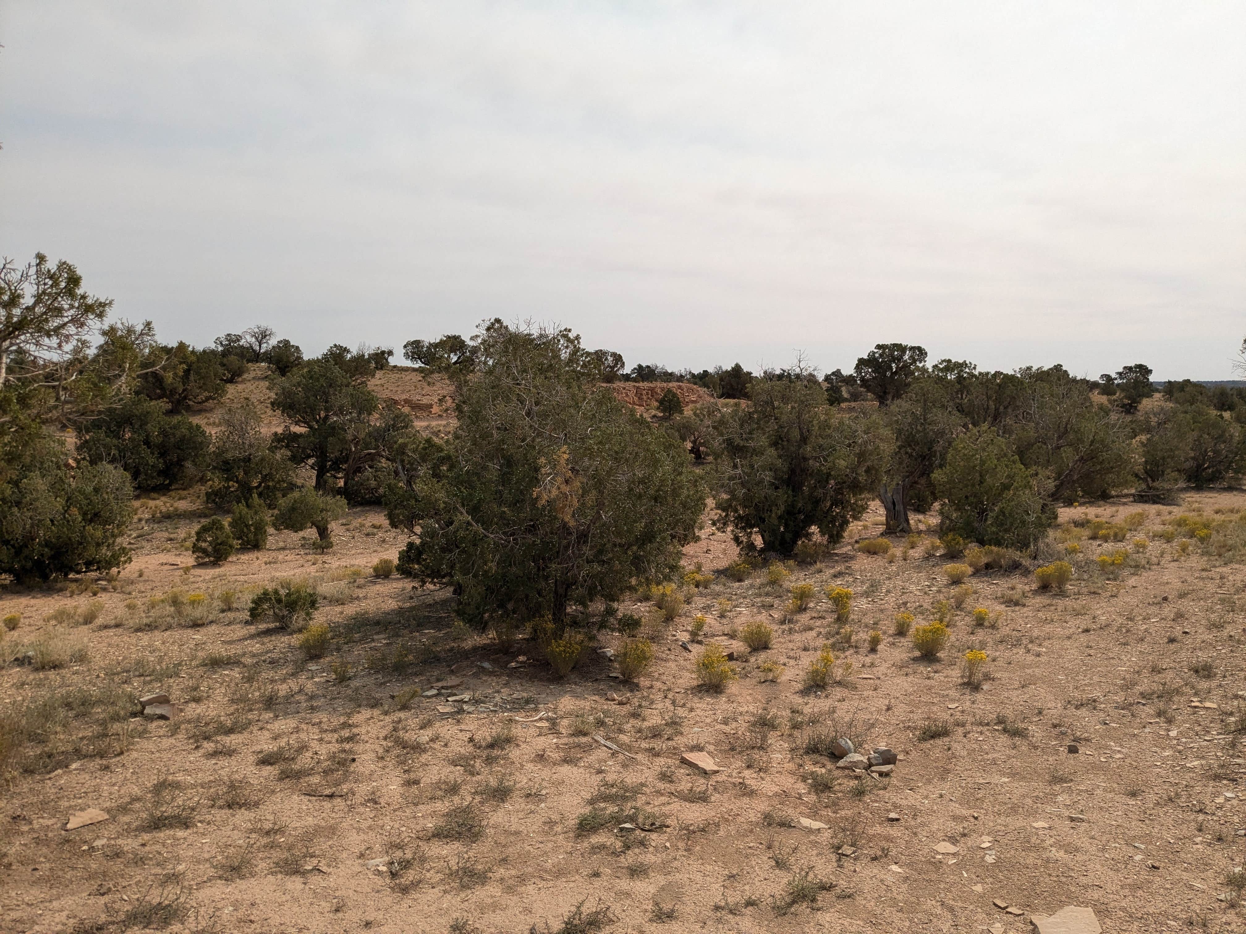 Camper-submitted photo at Hole in the Rock Road Dispersed at Utah 24 near Escalante, UT