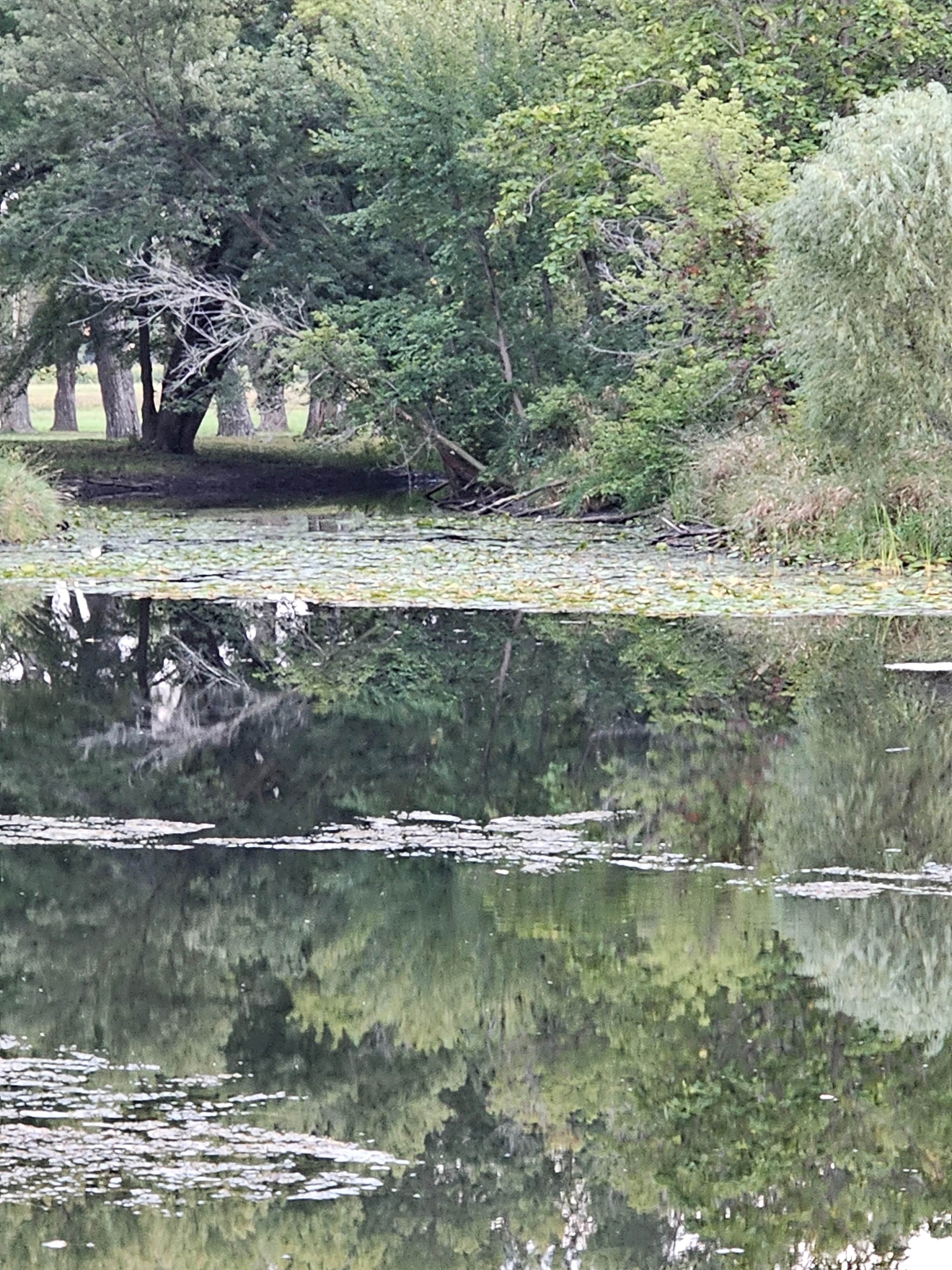 Camper submitted image from Arnold Lake State Rec Area — Arnold State Recreation Area - 3