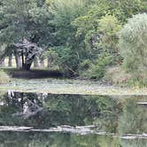 Review photo of Arnold Lake State Rec Area — Arnold State Recreation Area by Catherine W., October 1, 2025