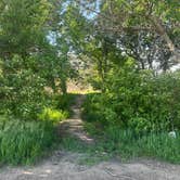 Review photo of Bassway Strip State Wildlife Area by Curious Compass B., June 1, 2026