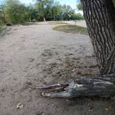 Review photo of Bridgeport State Rec Area by Cameron Z., September 27, 2026
