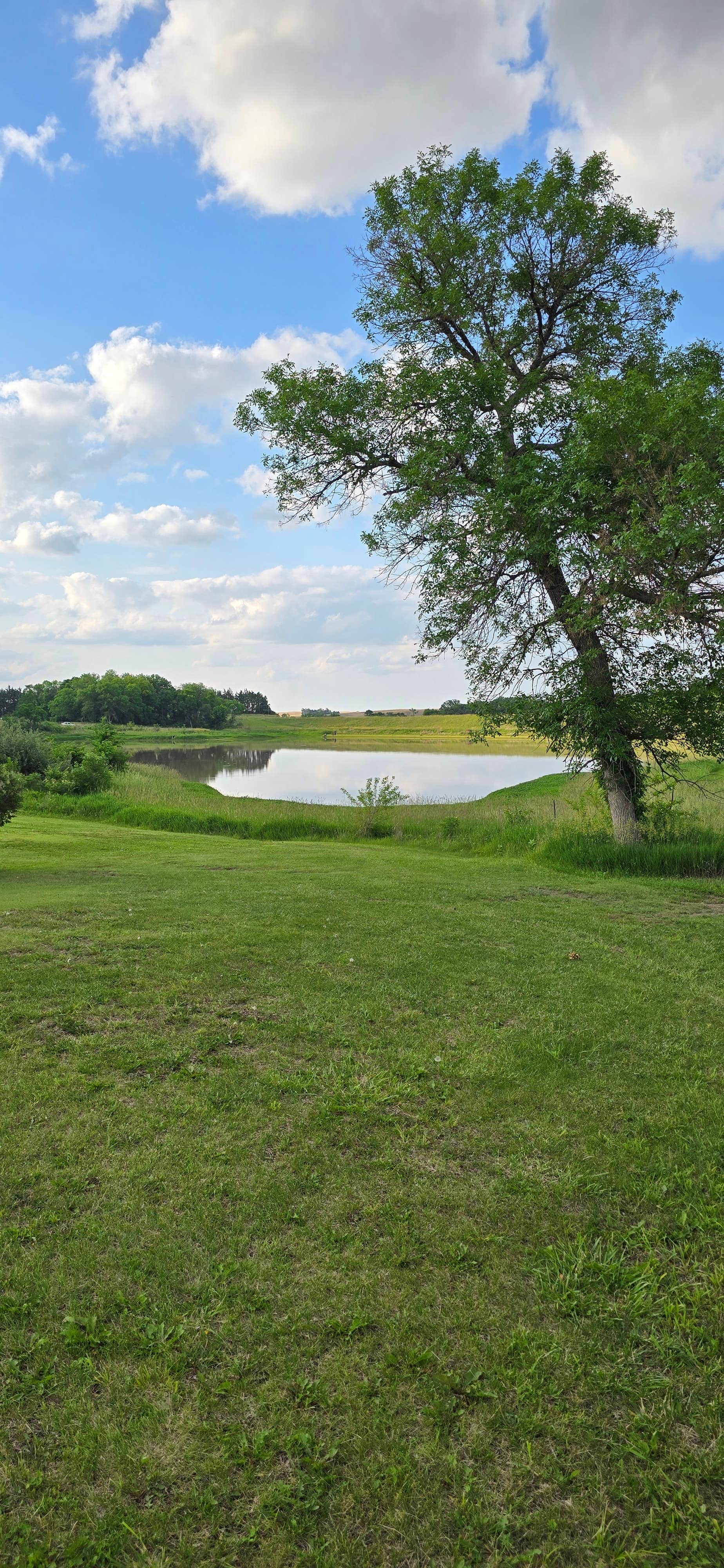 Camper-submitted photo at Buckley Creek near Fairbury, NE