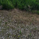 Review photo of Buckley Creek by Kalab R., June 7, 2025