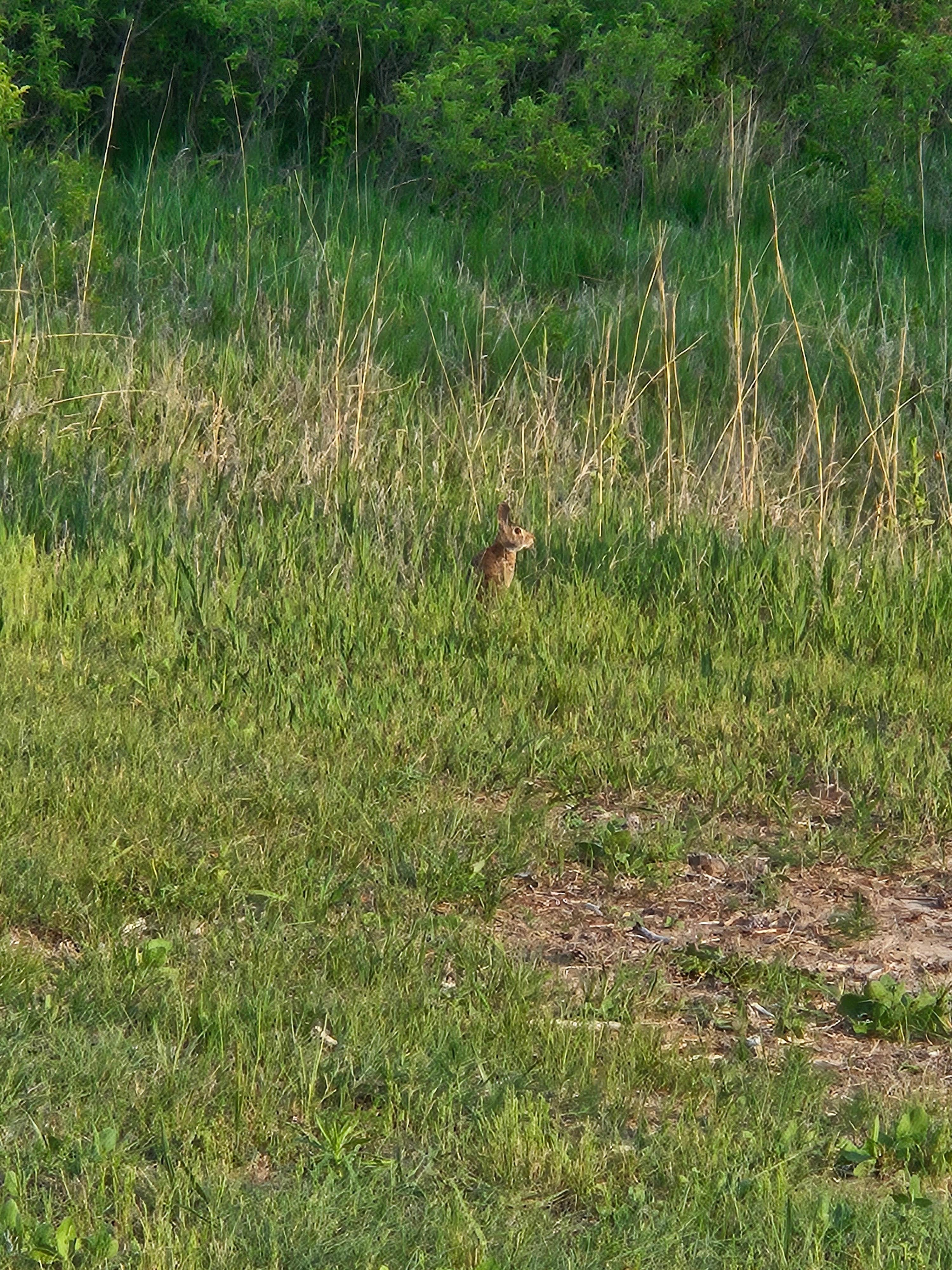 Camper-submitted photo at Homestead Knolls Campground — Calamus SRA near Ericson, NE