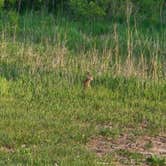 Review photo of Homestead Knolls Campground — Calamus SRA by Starla R., June 1, 2025