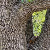 Review photo of Chilvers Park by The Big R., October 4, 2026