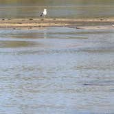 Review photo of Cody City Park Campground by Deidre M., October 7, 2026