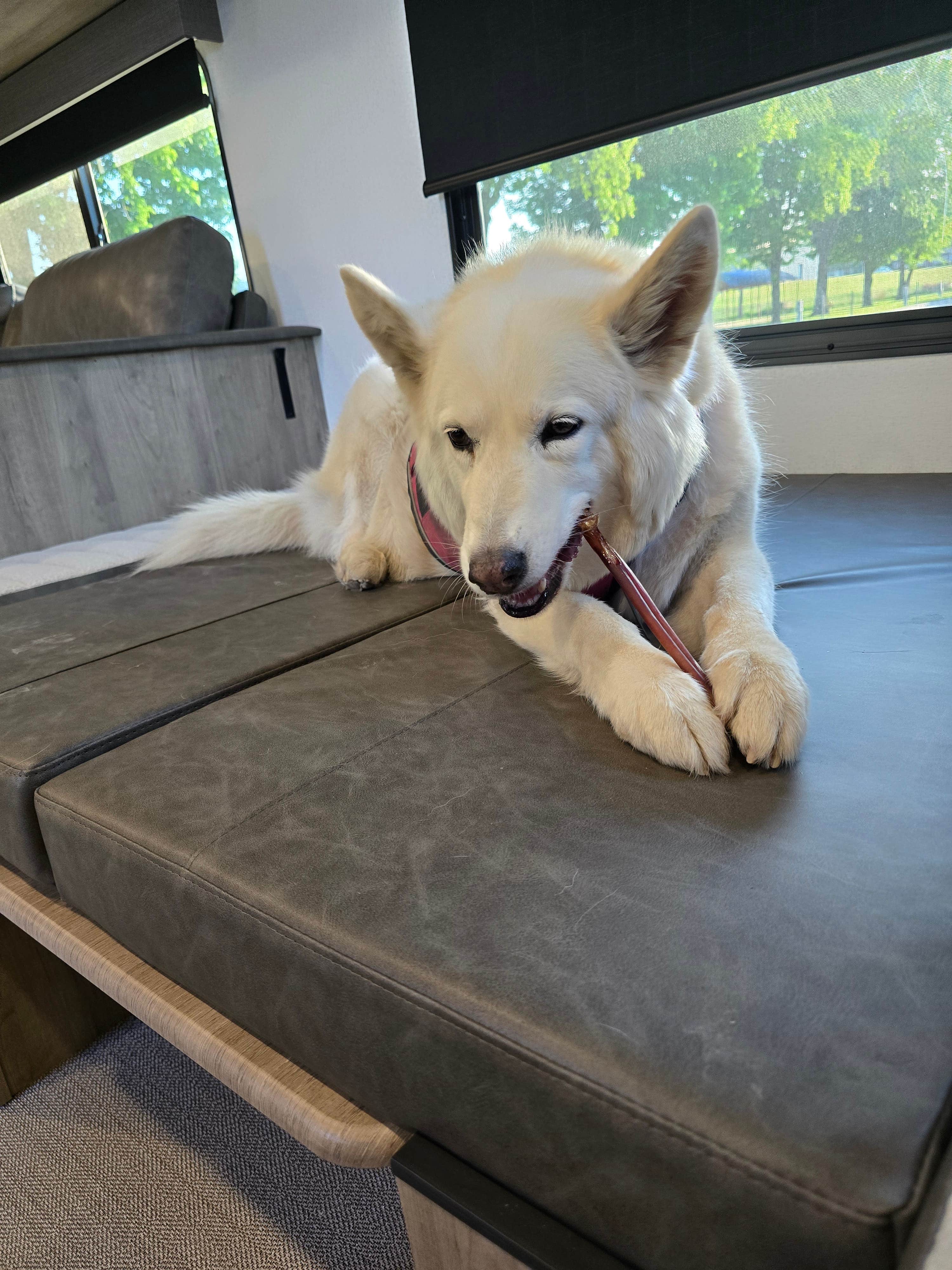 Camper-submitted photo at Deshler City Park Campground near Republic, KS