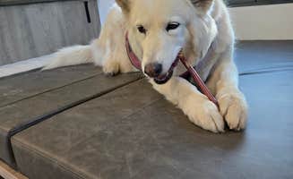 Kalab R.'s photo of camping with pets at Deshler City Park Campground in Nebraska