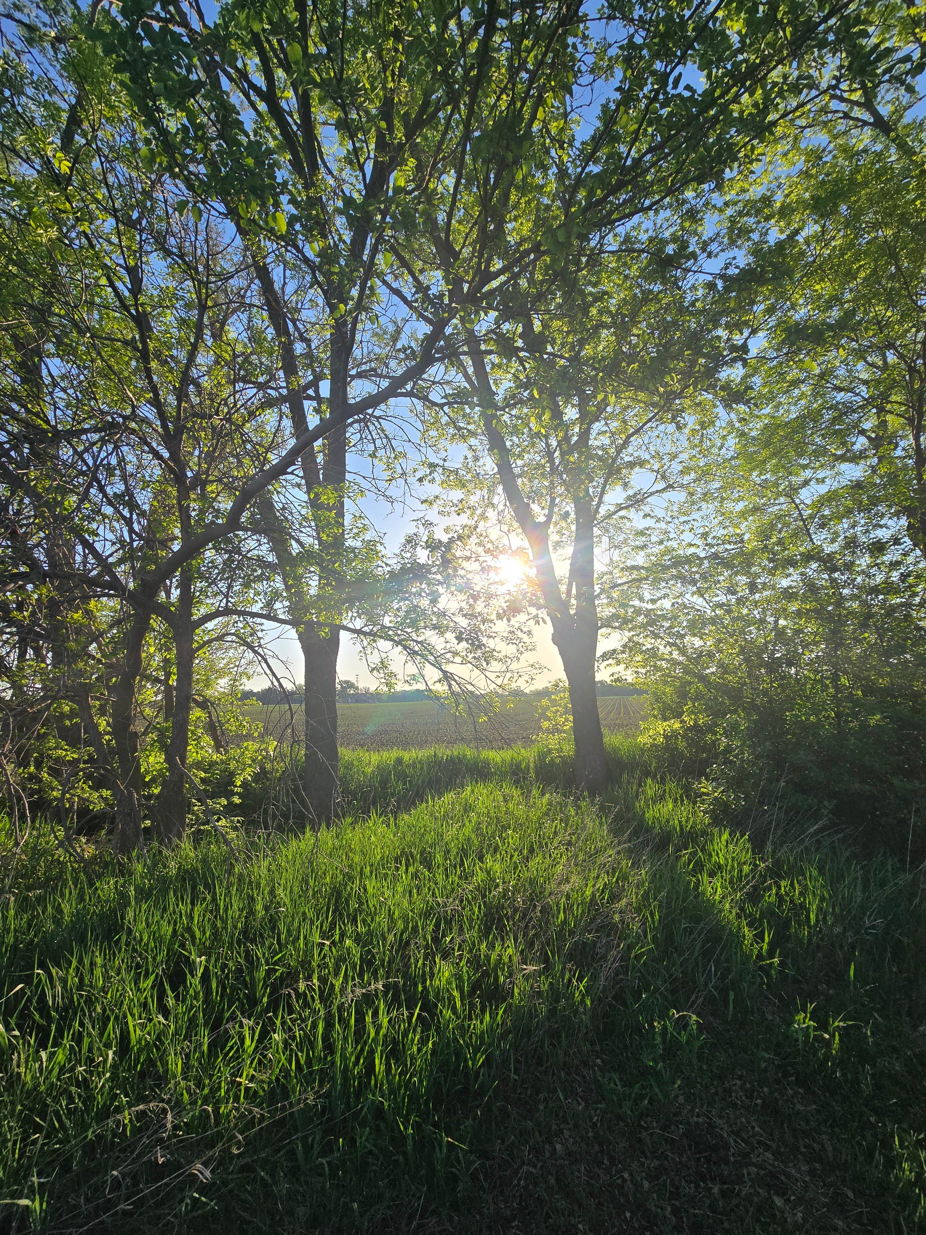 Camper-submitted photo at Deshler City Park Campground near Republic, KS