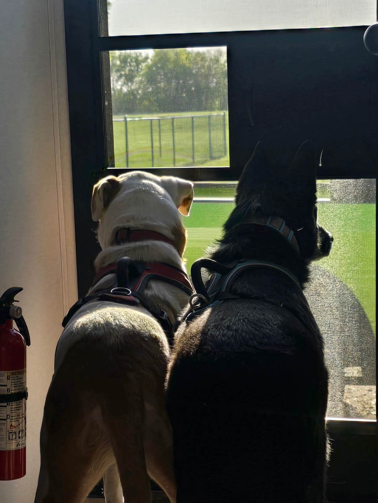 Camper-submitted photo at Deshler City Park Campground near Republic, KS