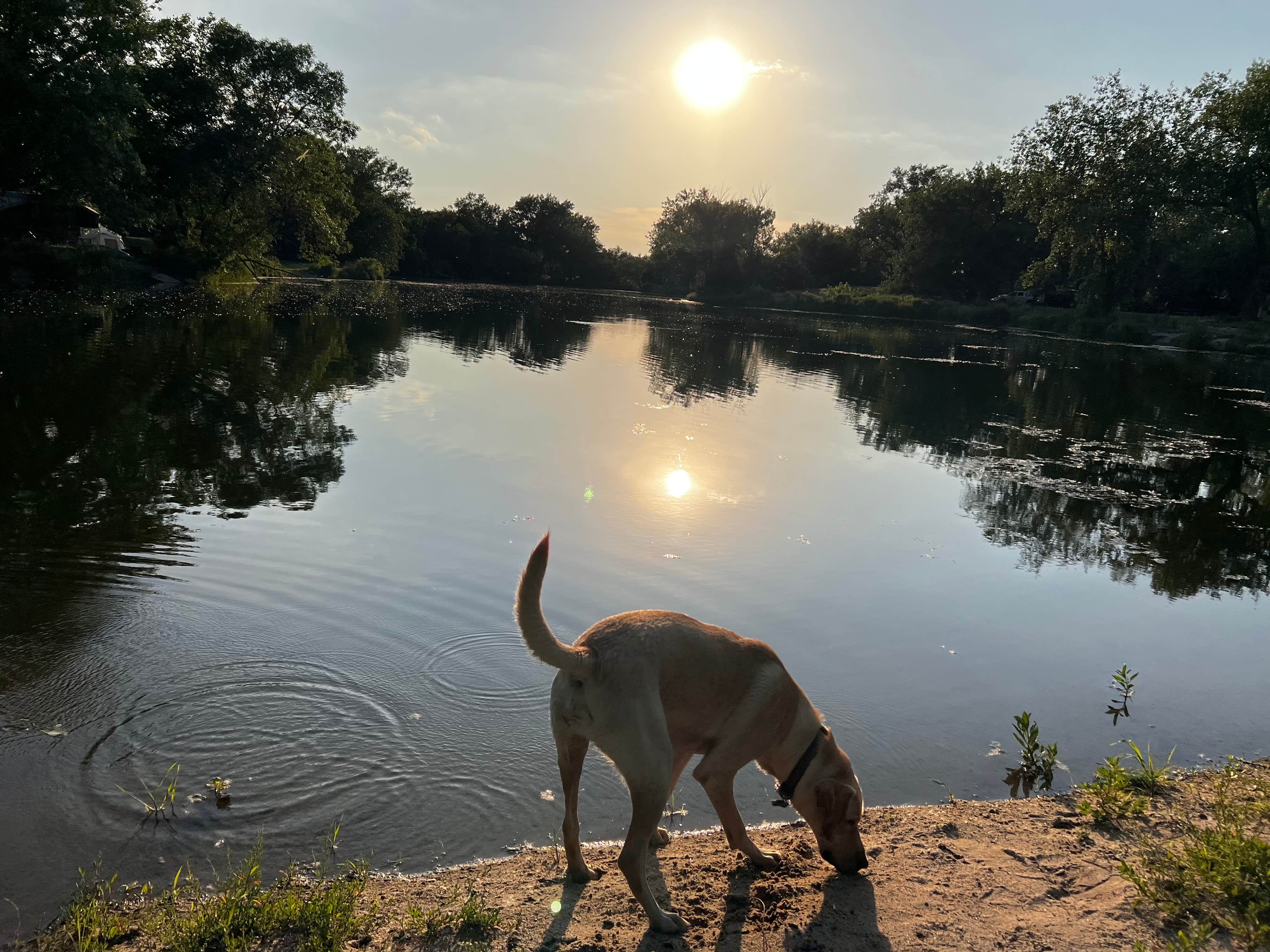 Maggie  C.'s photo of camping with pets at Fort Kearny State Recreation Area near Ashton, NE