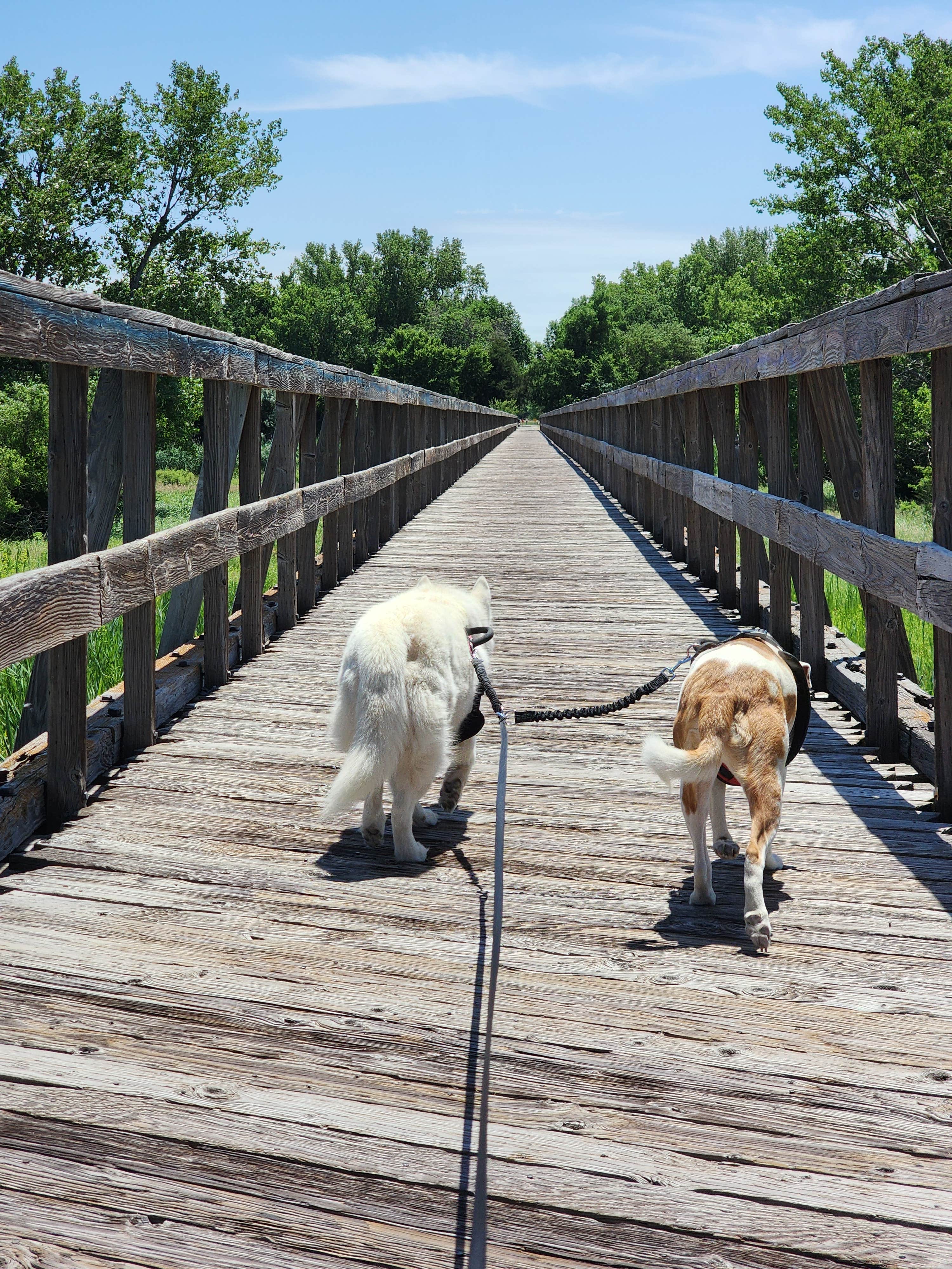 Kalab R.'s photo of camping with pets at Fort Kearny State Recreation Area near Alda, NE