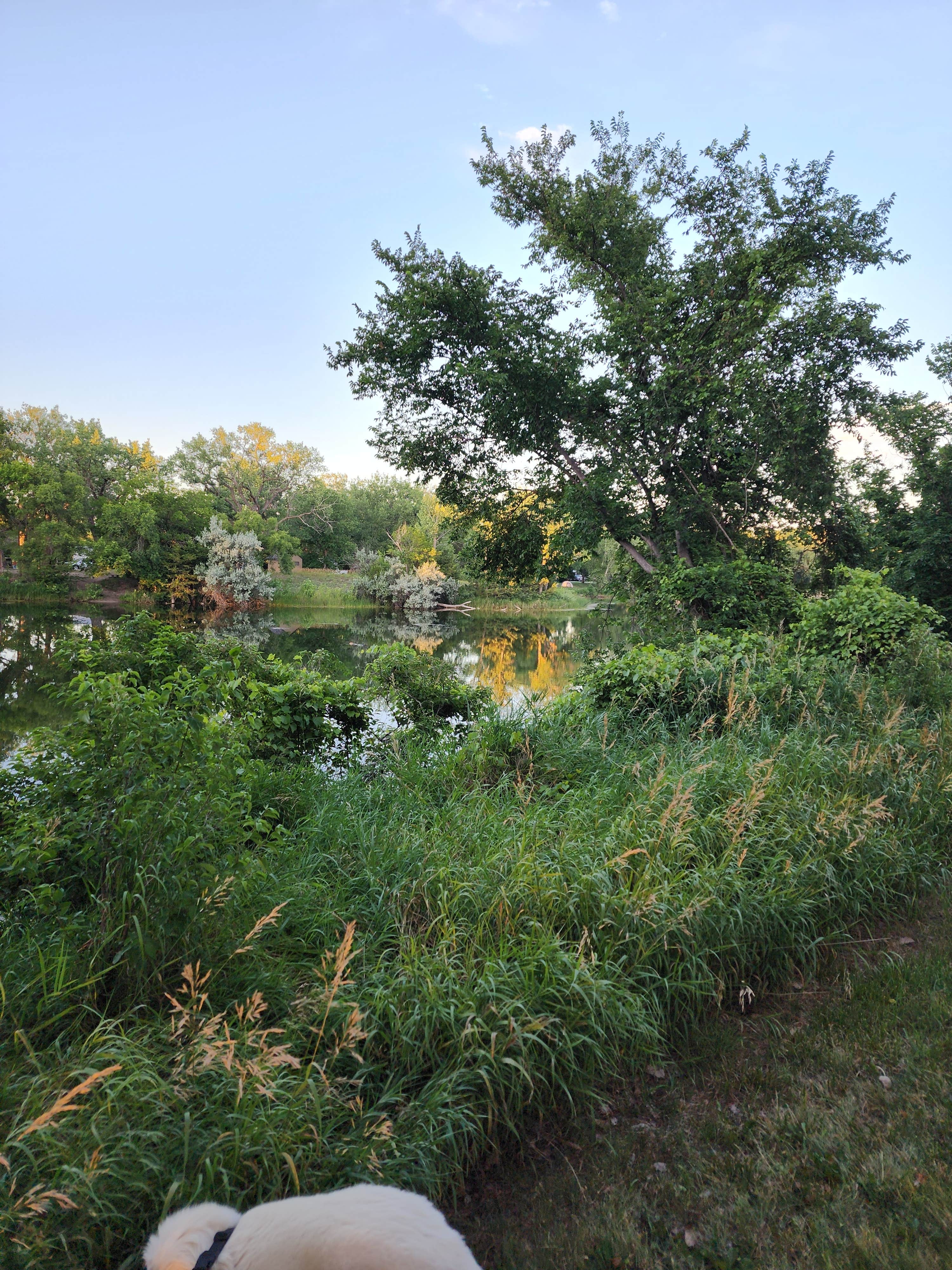 Kalab R.'s photo of camping with pets at Fort Kearny State Recreation Area in Nebraska
