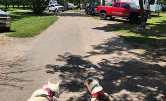 Kalab R.'s photo of camping with pets at Fort Kearny State Recreation Area near Harlan County Lake