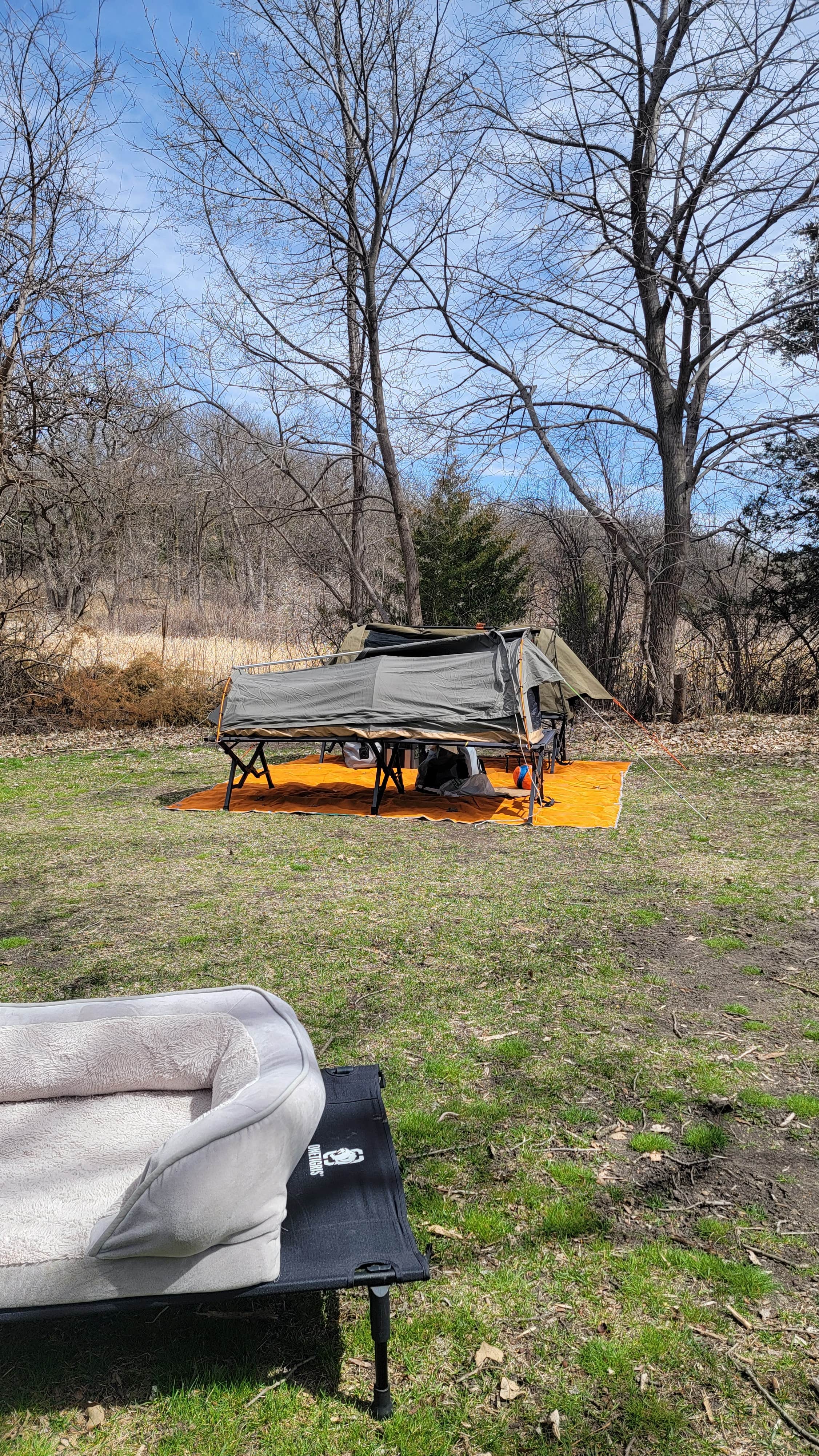 Bibs O.'s photo at Grove Lake State Wildlife Area near Norfolk, NE