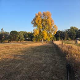 John D. Sims Memorial Park