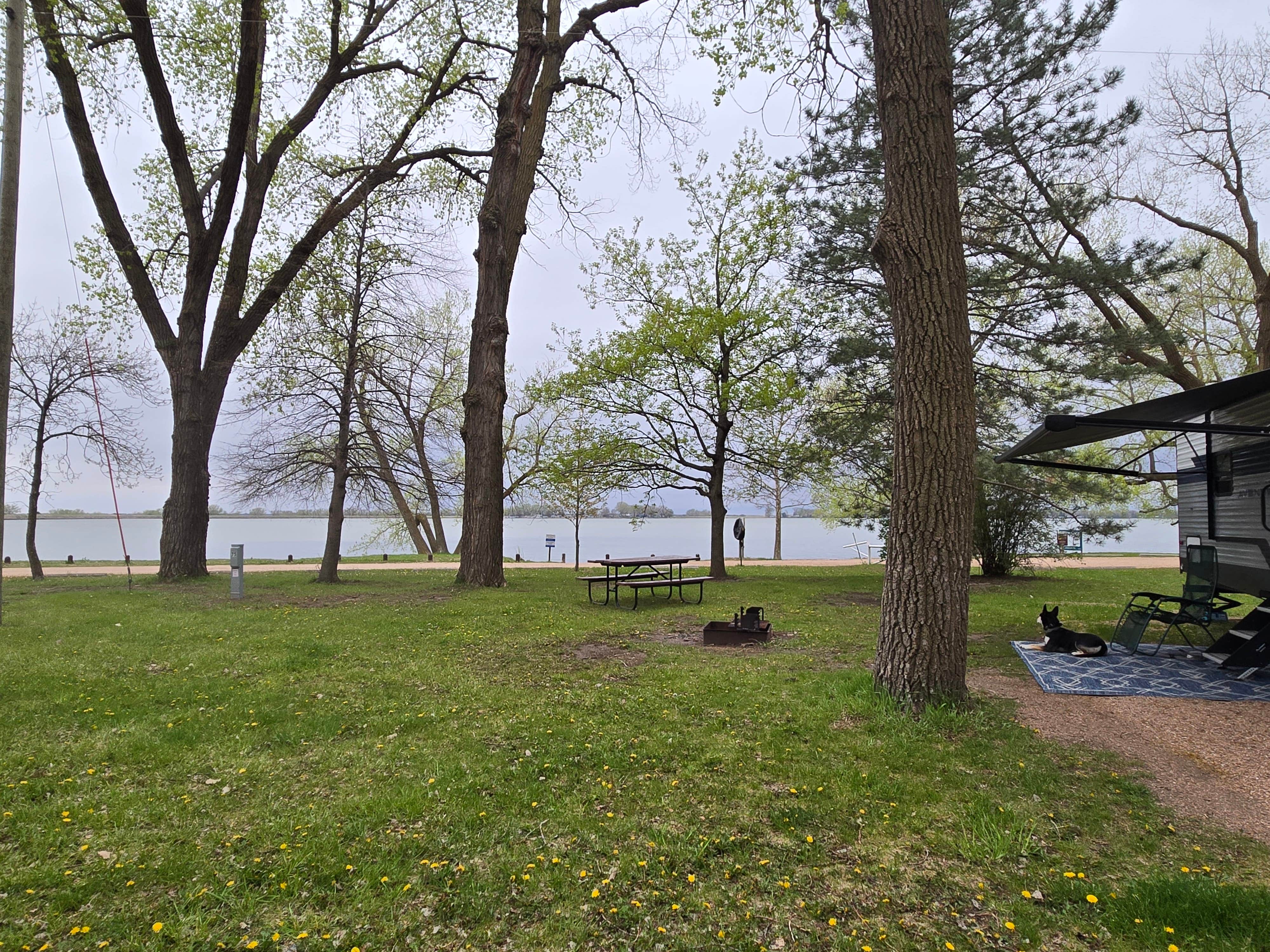 Tarrah C.'s photo of camping with pets at Main Campground — Johnson Lake State Recreation Area near Elwood, NE