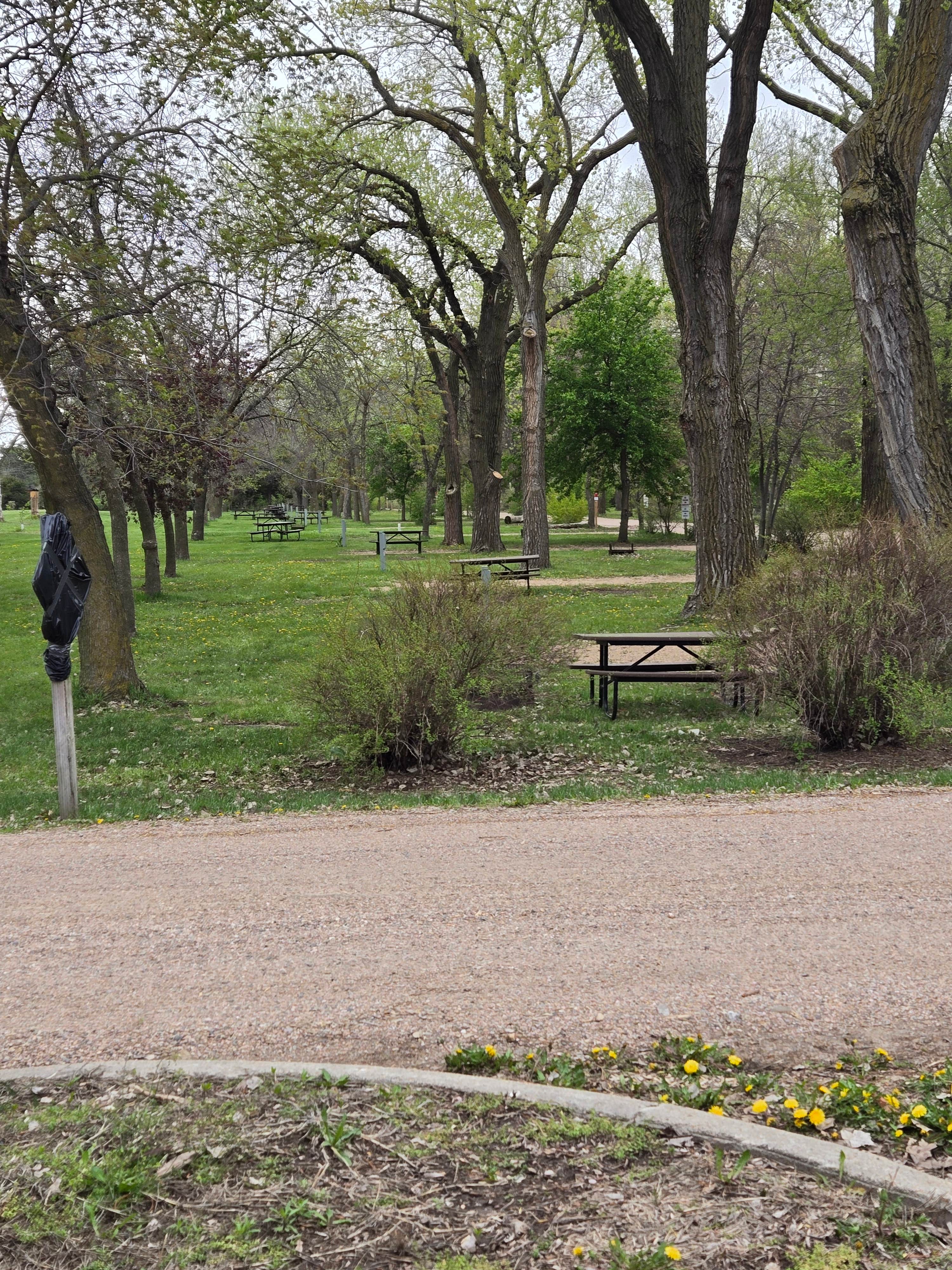 Camper submitted image from Johnson Lake State Recreation Area - 4